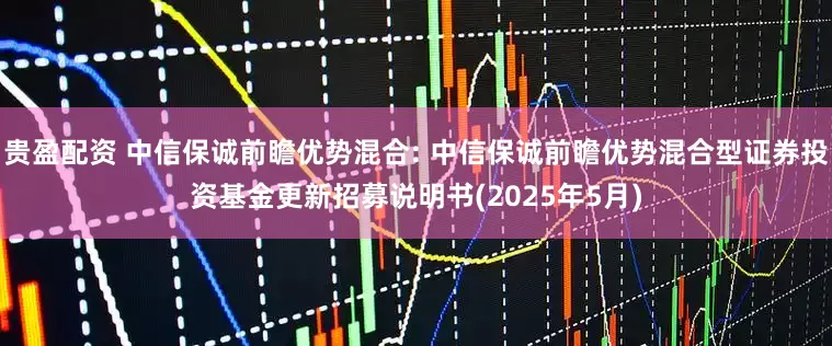 贵盈配资 中信保诚前瞻优势混合: 中信保诚前瞻优势混合型证券投资基金更新招募说明书(2025年5月)