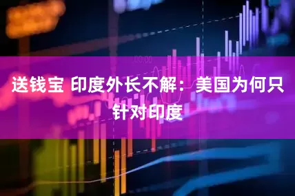 送钱宝 印度外长不解：美国为何只针对印度