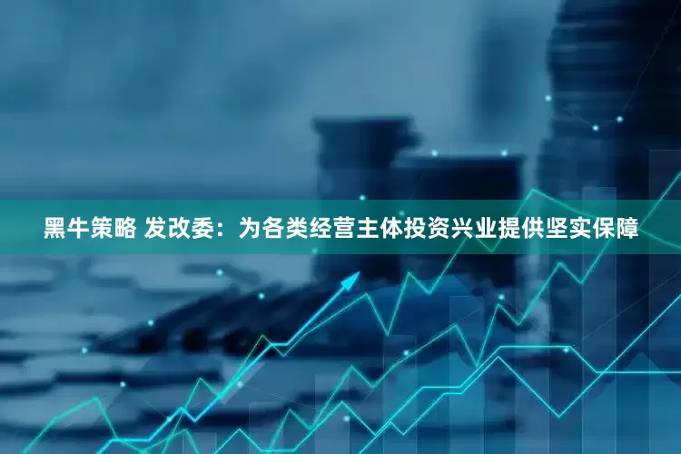 黑牛策略 发改委：为各类经营主体投资兴业提供坚实保障